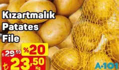 KIZARTMALIK PATATES FİLE